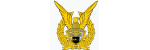 Indonesian Air Force